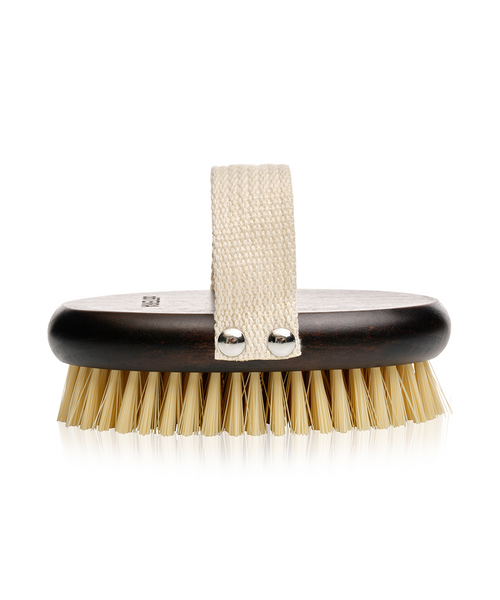 Beech Wood Dry Brush