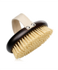 Beech Wood Dry Brush