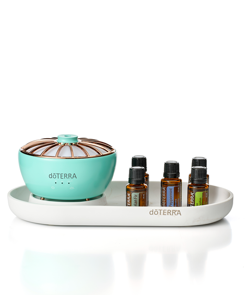 Catch All Caddy 2.0 – doTERRA Marketplace