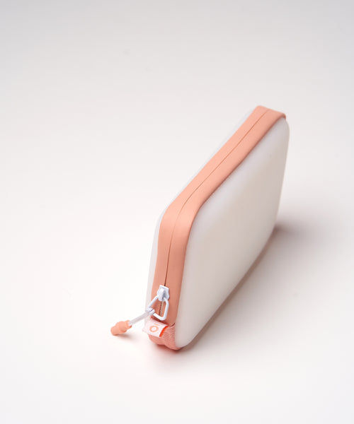 Easy to See Zip Case